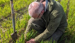 Strategic Cereal Farm north: Results webinar